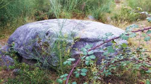 O lamentable estado da Mámoa do Rei