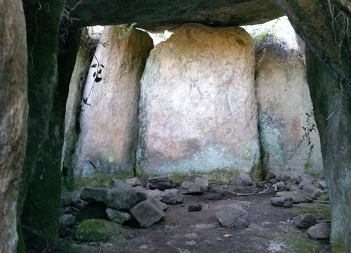 O lamentable estado da Mámoa do Rei