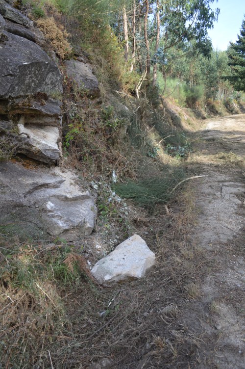 Desbroce das marxes da pista forestal do Pituco.