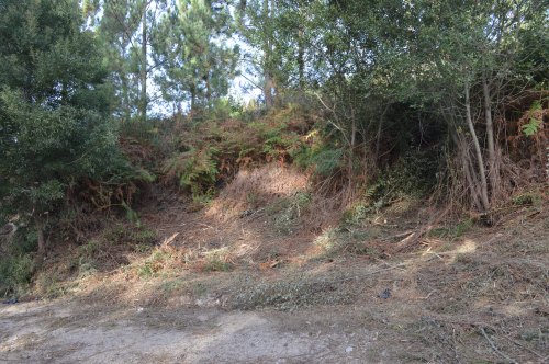 Desbroce das marxes da pista forestal do Pituco.