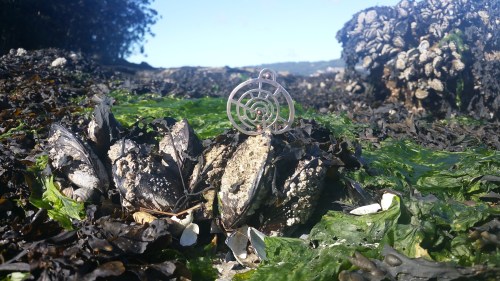 Xornadas organizadas pola Irmandade Illa de Tambo