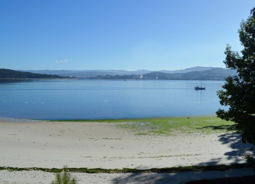 Xornadas organizadas pola Irmandade Illa de Tambo