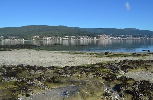 Xornadas organizadas pola Irmandade Illa de Tambo