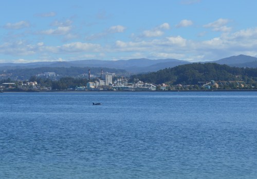 Xornadas organizadas pola Irmandade Illa de Tambo