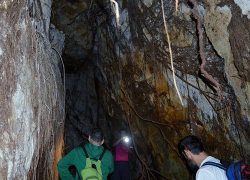 Cova da illa de Tambo