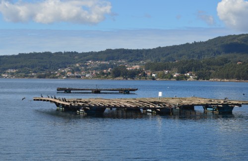 Xornadas organizadas pola Irmandade Illa de Tambo