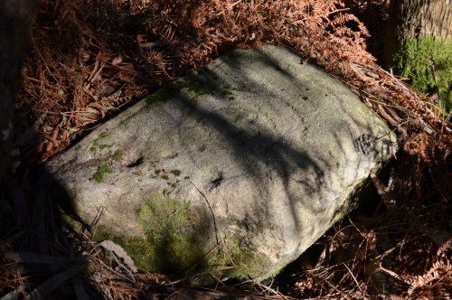 No Castro da Subidá