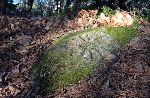 No Castro da Subidá