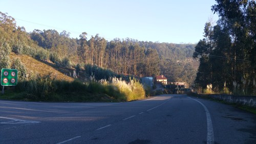 HerbaPampa Variante1_dec16.jpg