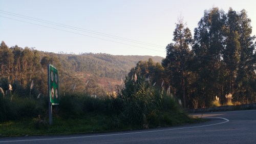 herbapampa-variante2_dec16