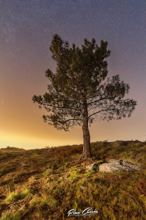 15895546_10207648817110732_793683336584827706_o