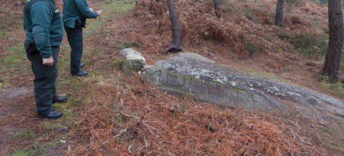 15896397_215495102244809_8641761114192694073_o