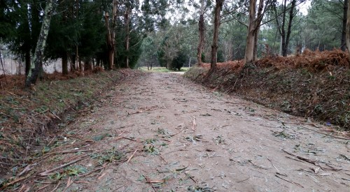 Efectos das borrascas Kurt e Leiv no Monte Pituco