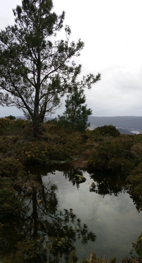 Efectos das borrascas Kurt e Leiv no Monte Pituco