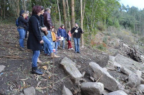 Visita guiada ao castro de Montealegre, Moaña.