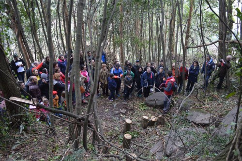 Visita guiada ao castro de Montealegre, Moaña
