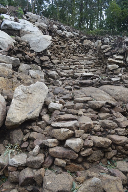 Visita guiada ao castro de Montealegre, Moaña