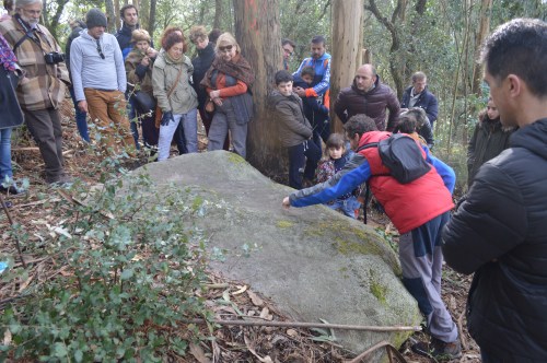 Visita guiada ao castro de Montealegre, Moaña