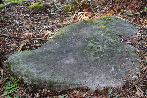 Visita guiada ao castro de Montealegre, Moaña