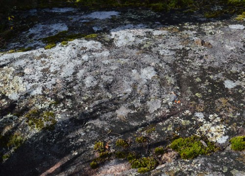 Petroglifo que sobre pola Coviña, preto de Liméns