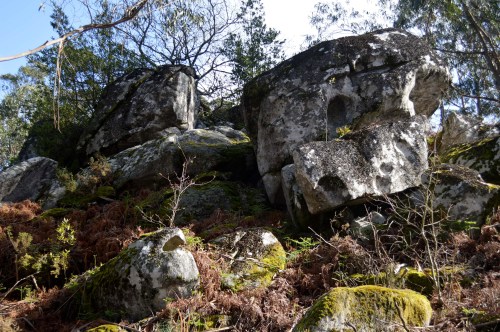 Subida ao Monte do Castro, nos Montes de Hío.