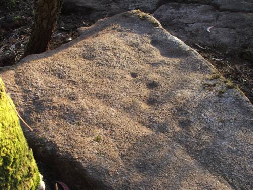 Novos gravados descubertos na Carrasca: coviñas