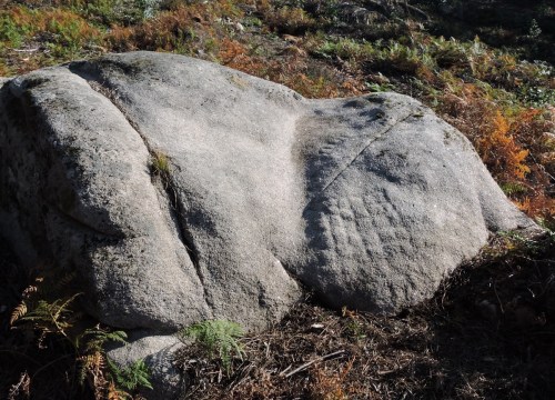 Novos gravados descubertos na Carrasca: forma reticular