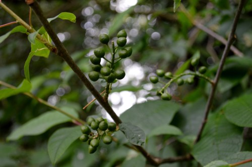 Ruta polo Gafos, con Vaipolorío
