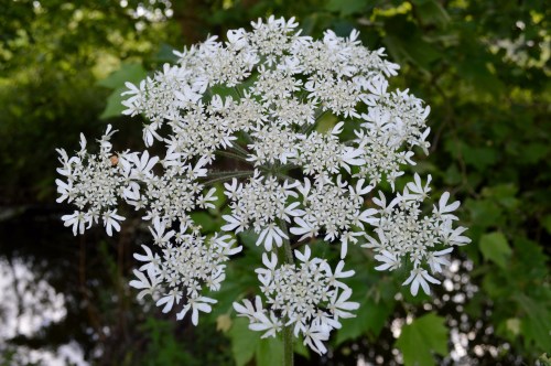 Ruta polo Gafos, con Vaipolorío