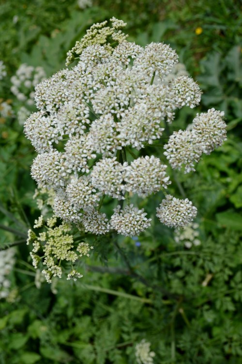 Ruta polo Gafos, con Vaipolorío