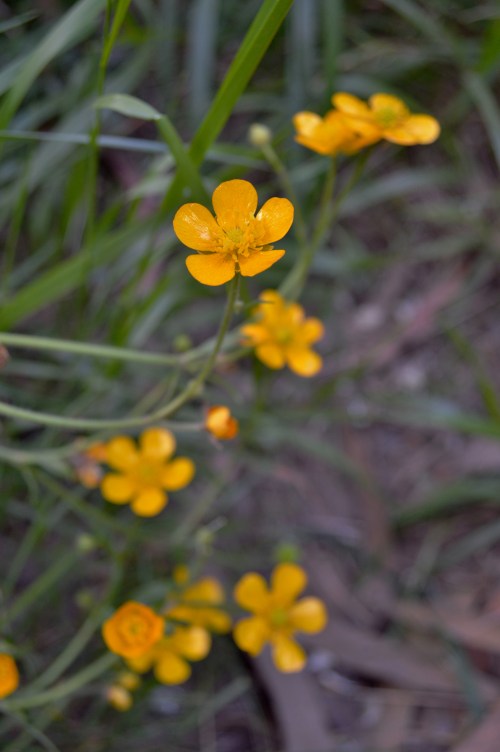 Ruta polo Gafos, con Vaipolorío