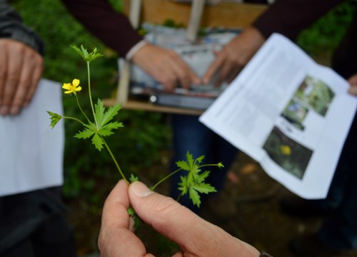 Ruta polo Gafos, con Vaipolorío