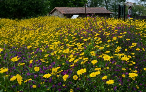 Ruta da Pedra e da Auga