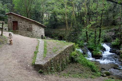 Ruta da Pedra e da Auga
