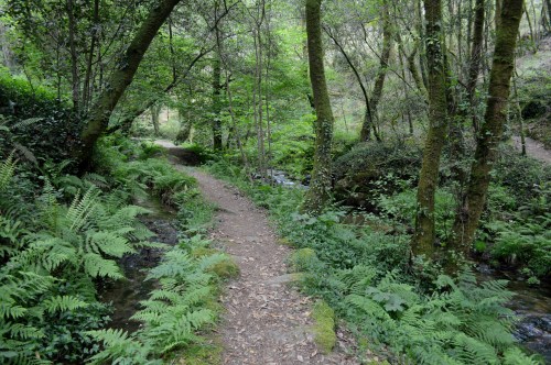 Ruta da Pedra e da Auga
