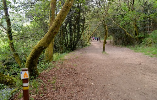 Ruta da Pedra e da Auga