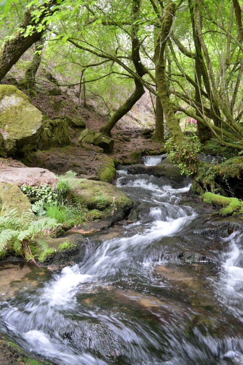 Ruta da Pedra e da Auga