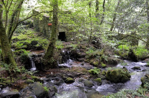 Ruta da Pedra e da Auga
