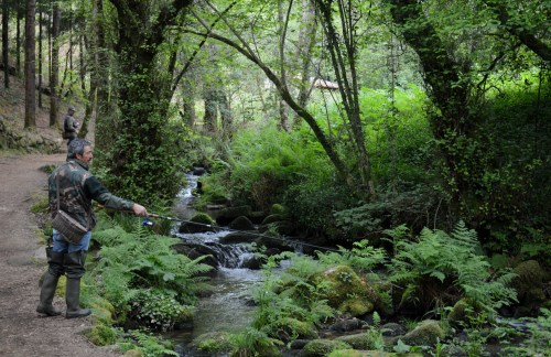 Ruta da Pedra e da Auga
