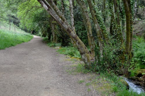 Ruta da Pedra e da Auga