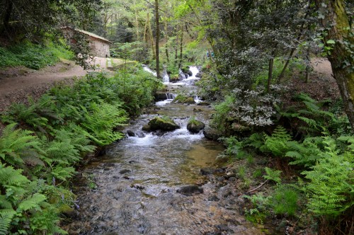 Ruta da Pedra e da Auga