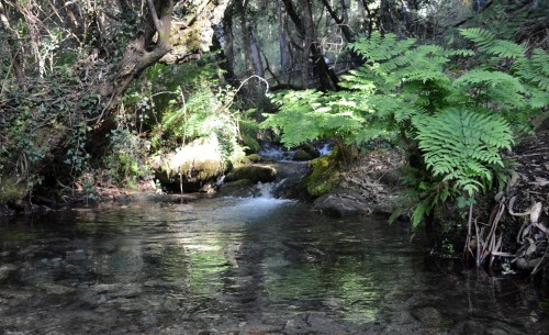 Ruta pola protección dos montes de Cobres, en Vilaboa