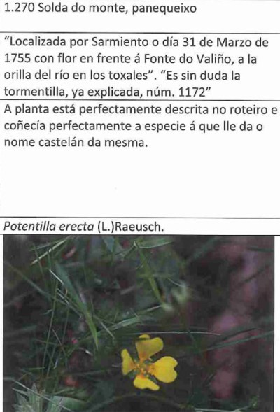 Ruta polo Gafos, con Vaipolorío