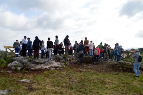 Novo miradoiro sobre unha plantación de castiñeiros