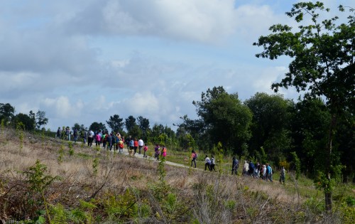 No sendeiro que conduce ao conxunto rupestre de Outeiro da Mina