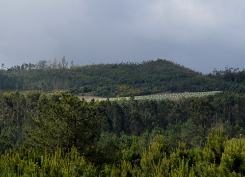 Vista do novo campo de tiro habilitado pola Brilat