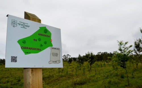 Arboreda da Carrasqueira