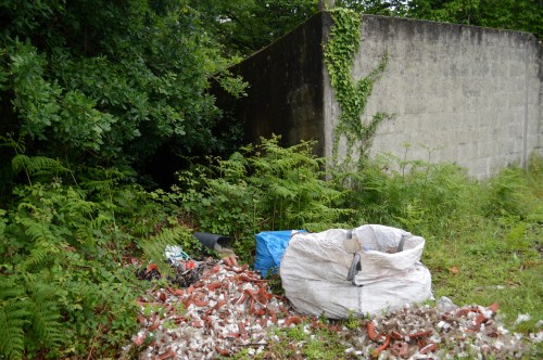 En Salcedo tampouco se libran dos verquidos ilegais...