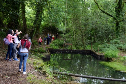 Pozo nas proximidades dos muíños de Matías e de Outeiro.
