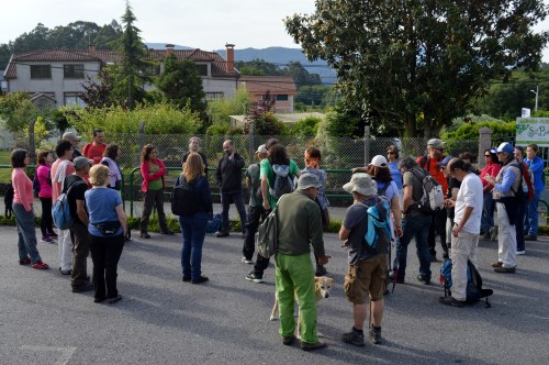 Andaina polos montes de Vilaboa coa Plataforma Montes do Morrazo